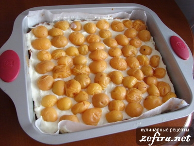 Рецепт - пирог с абрикосами и пудингом